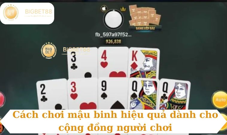 Cách chơi mậu binh hiệu quả dành cho cộng đồng người chơi