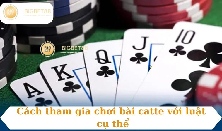 Cách tham gia chơi bài catte với luật cụ thể