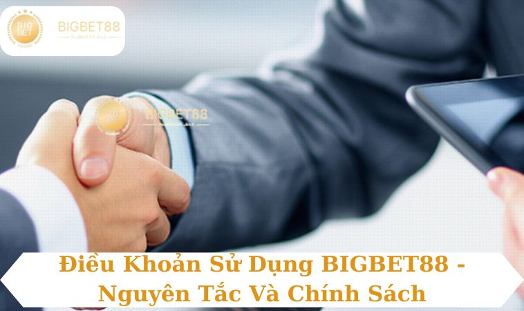 Điều khoản dịch vụ BIGBET88 dành cho nhà cái