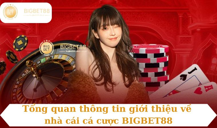 Tổng quan thông tin giới thiệu về nhà cái cá cược BIGBET88